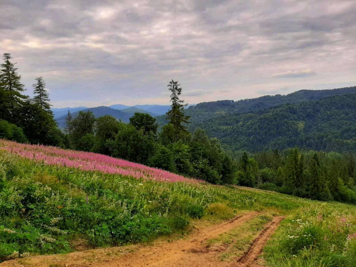 Шале Карпатська Казка Slavske Exterior foto